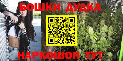дурь Сланцы