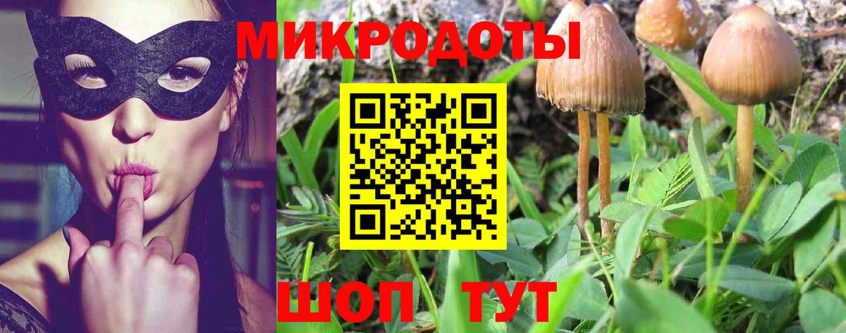 Москва  Псилоцибиновые грибы Psilocybe  Галлюциногенные грибы ЛСД  Вход с VPN 